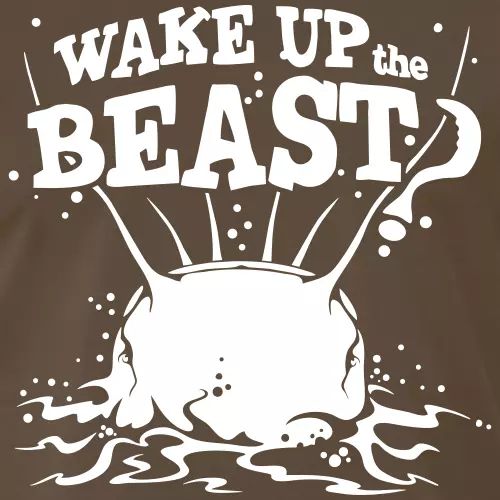 Wels Angler T-Shirt «Wake up the beast»